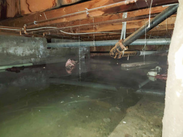 Best Residential water damage restoration  in Spencerville, OH