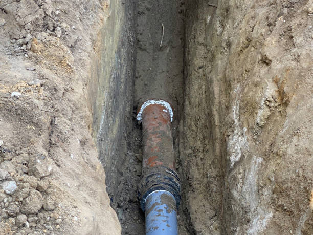 Best Professional water damage repair  in Spencerville, OH