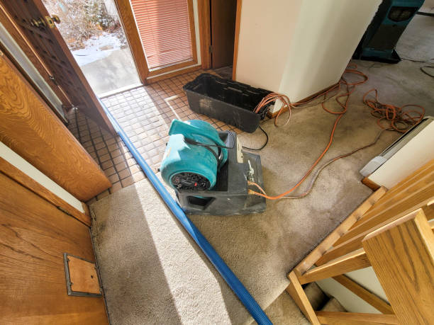 Best Mold removal after water damage  in Spencerville, OH