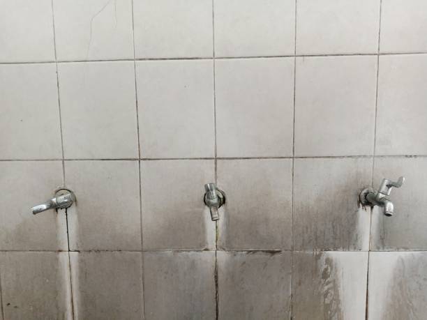 Best Commercial water damage restoration  in Spencerville, OH