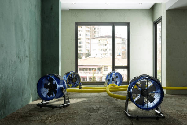 Best Water damage contractors near me  in Spencerville, OH